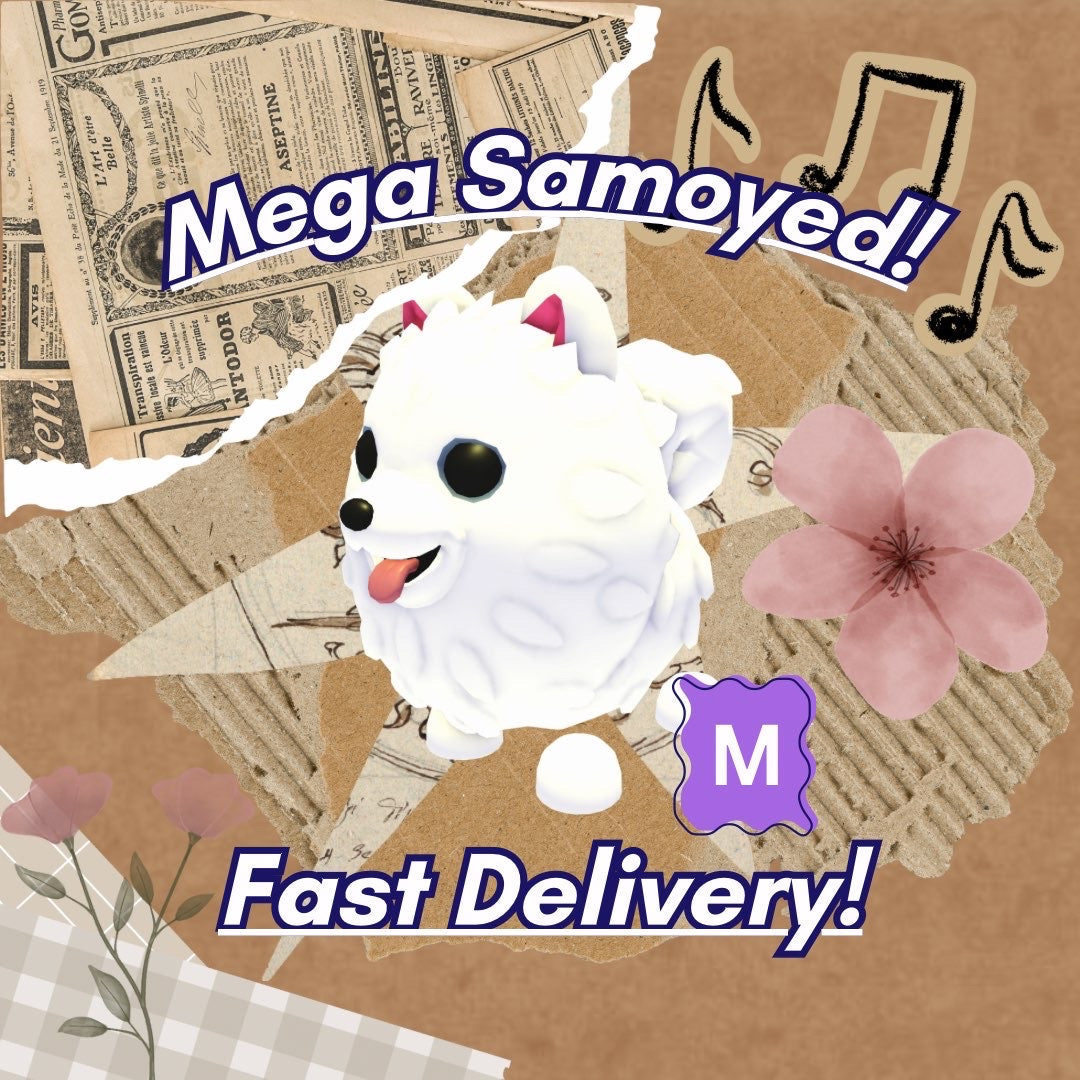 🤍Mega Samoyed🐾