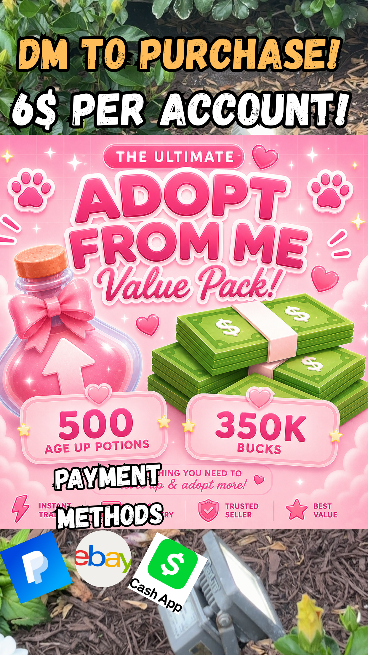350k bucks💸 and 500 age potions 🧪